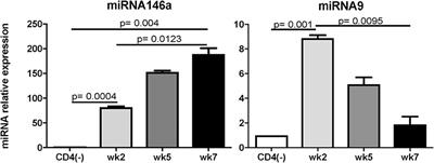 Toxoplasma gondii: CD8 T Cells Cry for CD4 Help